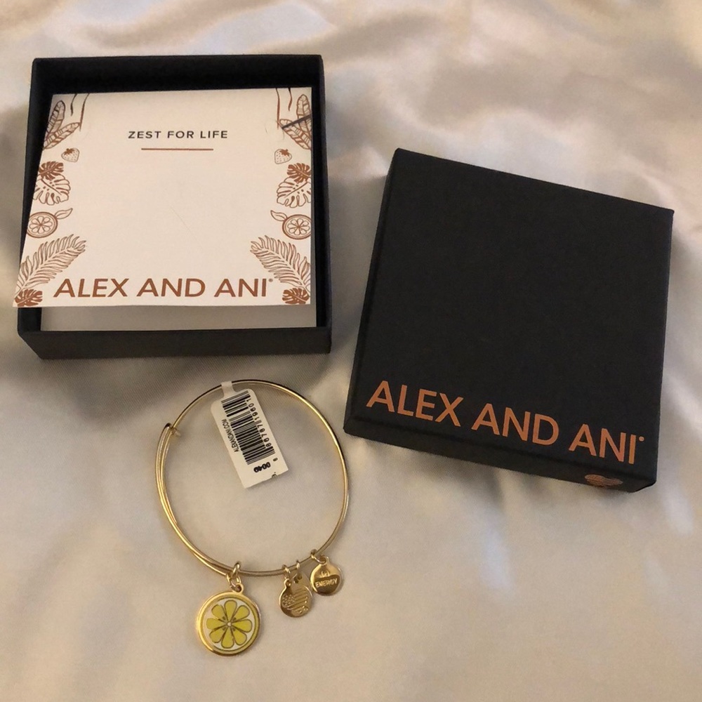 Alex & Ani Color Infusion Shiny Gold Tone Zest For Life Slider Bracelet NWT